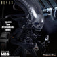MDS Alien Deluxe