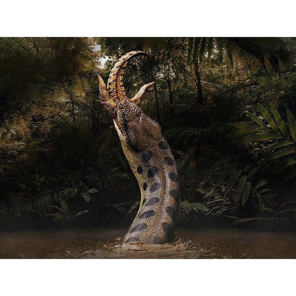 Museum Class Maquette Titanoboa Cerrejonensis ''Monty Resurgent'' toysmaster