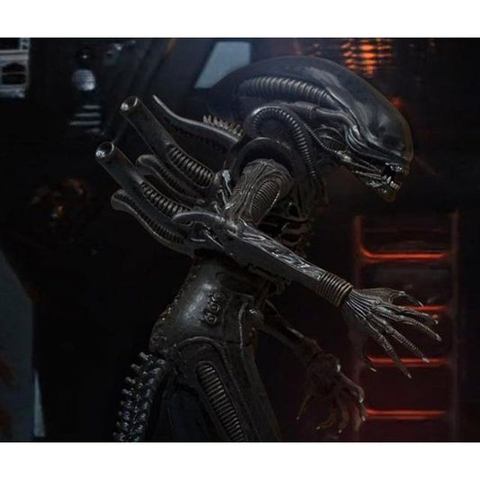 One:12 Collective - Alien