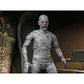 Universal Monsters - Ultimate Mummy Color