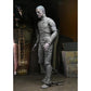 Universal Monsters - Ultimate Mummy Color