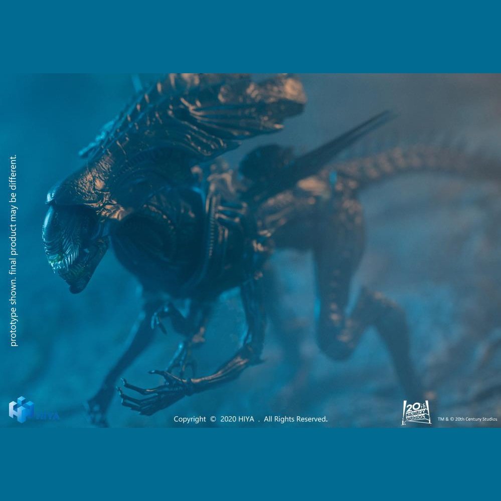 vs. Predator Alien Queen Battle Damaged PX Previews Exclusive 1/18 toysmaster