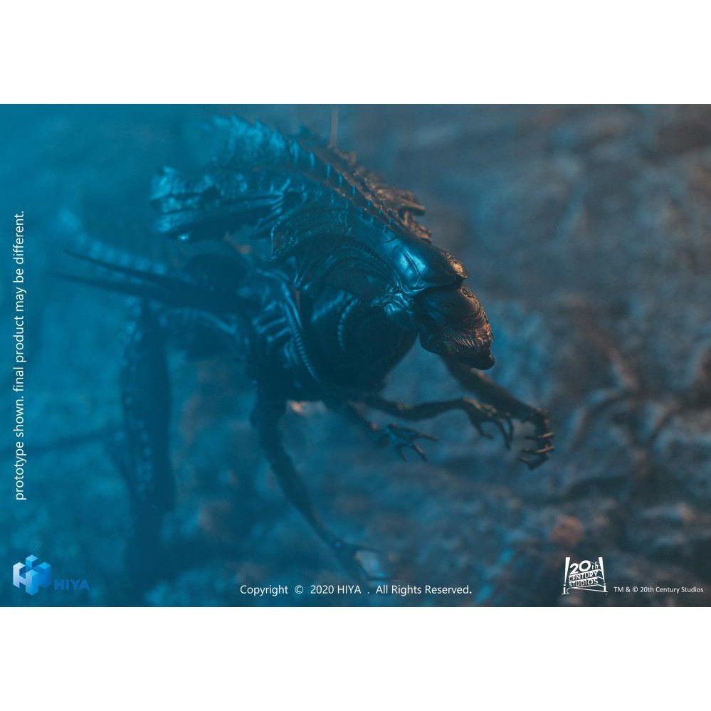 vs. Predator Alien Queen Battle Damaged PX Previews Exclusive 1/18 toysmaster