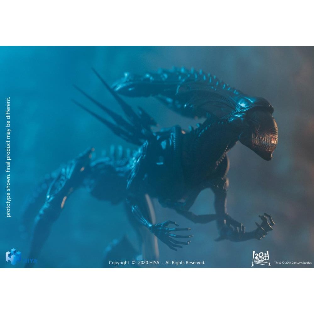 vs. Predator Alien Queen Battle Damaged PX Previews Exclusive 1/18 toysmaster